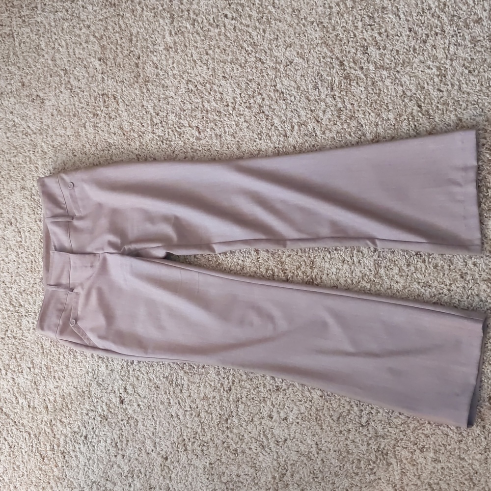 Joe B Juniors tan dress pants (size 9, fits small)